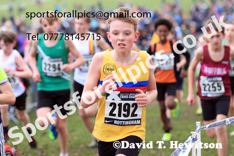 Boys Under-13s, 2024 CAU Inter Counties Cross Country Champs., Wollaton Park, Nottingham. Photo: David T. Hewitson/Sports for All Pics